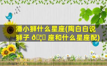 潘小狮什么星座(陶白白说狮子 🦉 座和什么星座配)